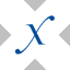 Direxion Semiconductor Bull 3X tokenized ETF (xStock) logo