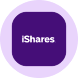iShares Semiconductor ETF (Ondo Tokenized) logo
